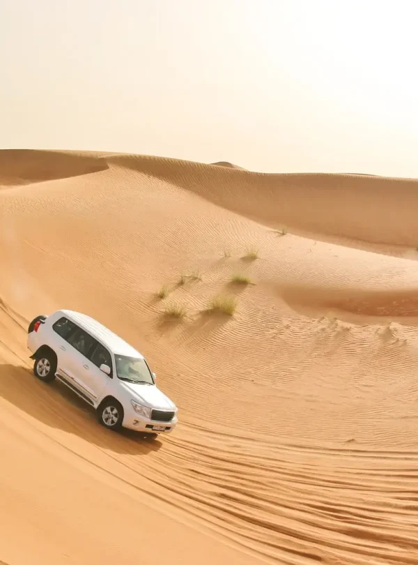 Explore the Desert and Inland Sea - Main Image